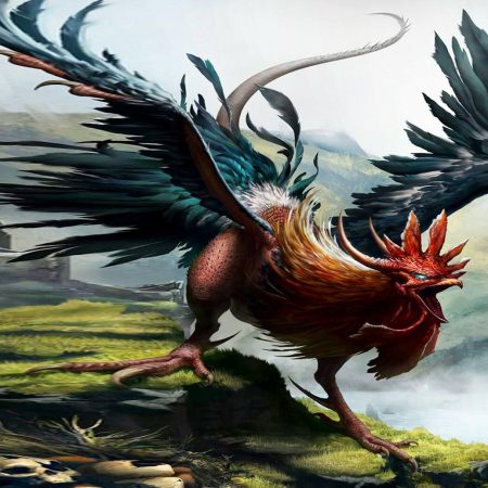Đặc điểm nhận biết gà linh kê thần kê chuẩn nhất