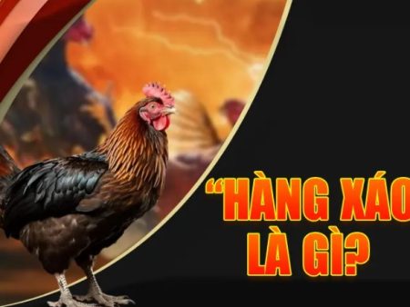 Đá gà hàng xáo là gì? Top 3 kinh nghiệm đá gà bất bại